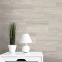 Porcelanato Orion 30X60 Cm  