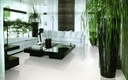 Porcelanato Super White Brillante Rectificado 60x60 Cm