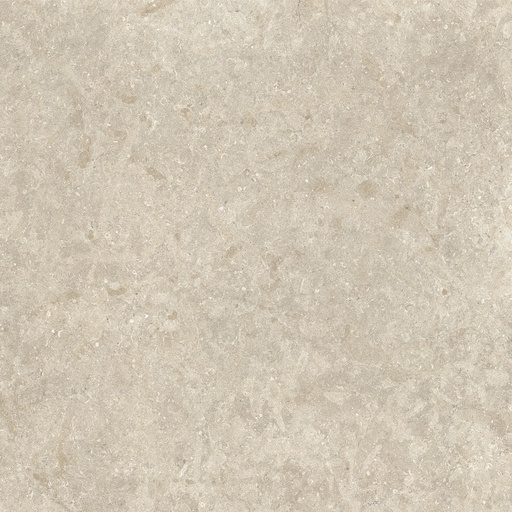 Porcelanato Ey02 Elysian Desert Stone Mate 60x120 cm