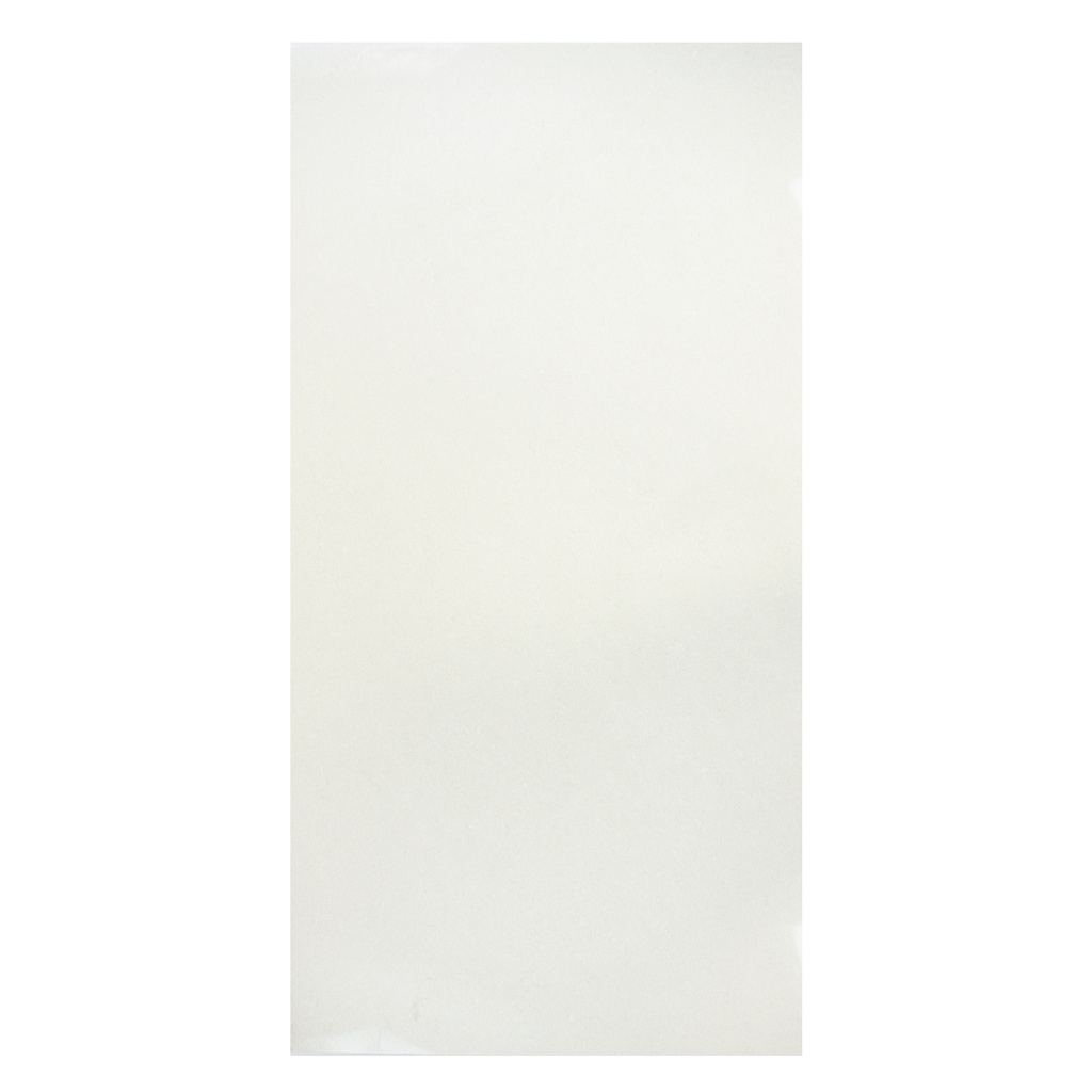 Porcelanato Blanco Doble Carga 60x120cm