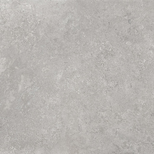 Gres Porcelanico Trafalgar Silver Mate Rectificado 30x60 cm