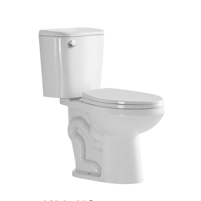 WC Siphonic two piece de Pie Welt Blanco Brillante con Descarga a Piso Dual flush