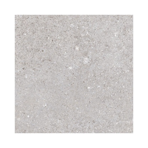 [4R45] Porcelanato Nassau Gris Mate 20x20 cm