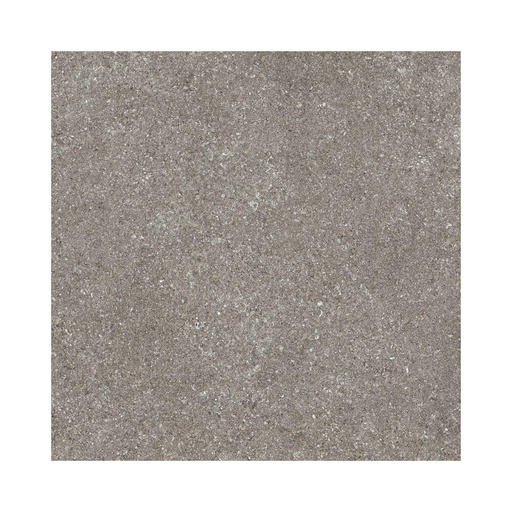 [ANV1] Porcelanato Norr 2.0 Gra Fine Mate Rectificado 60x120 cm