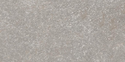 [TX2302RE] Porcelanato Edelweiss Grey Mate Rectificado 61,5x121 cm